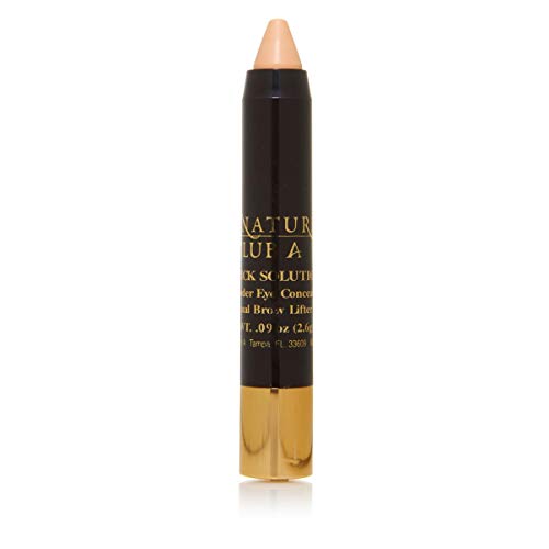 One Stick Solution Over/Under Eye Concealer and Visual Brow Lifter