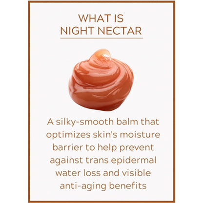 Active Argan Night Nectar Stem Cell Concentrate