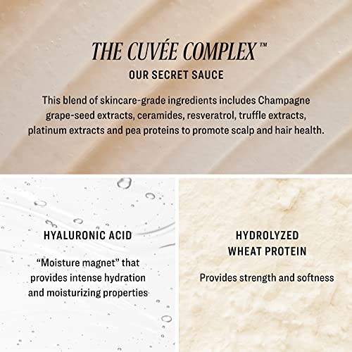 Cuvee Conditioner - 10 fl oz - Softens, Strengthens, Hydrates & Protects Hair - Includes Hyaluronic Acid - Champagne-Infused Formula with Resveratrol & Ceramides - Color Safe